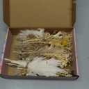 12 Pack Dried Flower Bouquet Mini Natural Pampas Grass for Crafts Small Dried Embossing Florat with Stem Boho Artificial Arrangement Wedding Derco Flowers Bundles for Vases, Wedding, Home, Party