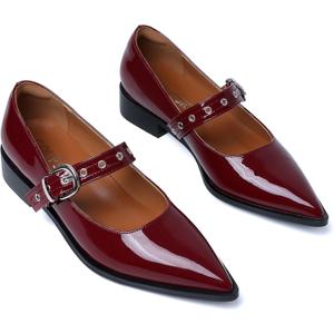 GOUPSKY Mary Jane Shoes Women Chunky Low Heels Buckle Strap Pumps Womens Closed Pointed Toe Ballet Flats Causal Daily Dress Shoes (6, Burgundy)