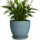 Ceramic Planter, 8 Inch Plant Pot Indoor with Drainage Hole and Saucer, Decorative Planters for Indoor Plants, Modern Flower Pots, Round Planter, Room Decor, Gifts for Plant Lovers, Glaze Blue