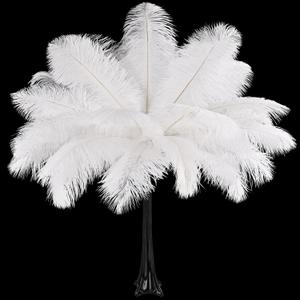 THARAHT 12PCS Ostrich Feathers Natural Bulk 16-18Inch(40-45cm) for Wedding Party Centerpieces Easter Gatsby Flower Arrangement and Home Decorate Ostrich Feathers,White
