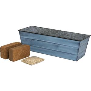 Bloom Box Garden Growing Kit, Medium Nantucket Blue