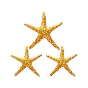 3 Pack Blow up Starfish Floaties
