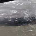 Short Queen Mattress,11.4 Inches Pillow Top Pocket Spring Hybrid RV Mattress, Memory Foam Innerspring Firm Bed in a Bag (White)