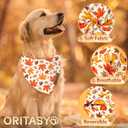 Fall Thanksgiving Dog Bandanas for All Dogs (2-Pack Triangle Reversible Pet Scarves) (Autumn Pumpkin Maple Leaves) Premium Fabric Holidays Bandana, X-Large Q