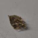 NOBILITY Ganesha on Leaf Statue Gold Ganesh Idol with Diya for Home Office Pooja Puja Diwali Decorative Wedding Return Gift Items