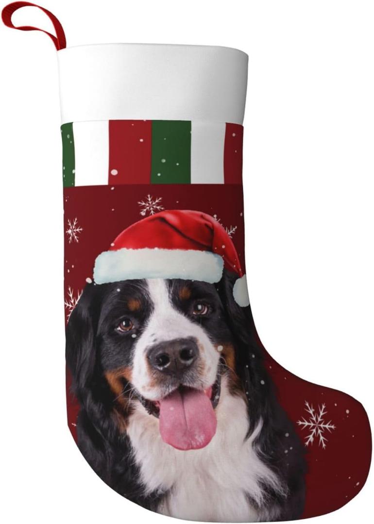 Christmas Bernese Mountain Dog Christmas Stockings Personalized Hanging Stocking Decorations for Family Xmas Holiday Party (One Size)