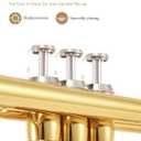 Eastar Bb Standard Trumpet Set for Beginner, Brass Student Trumpet Instrument with Hard Case, Cleaning Kit, 7C Mouthpiece and Gloves, ETR-380, Golden
