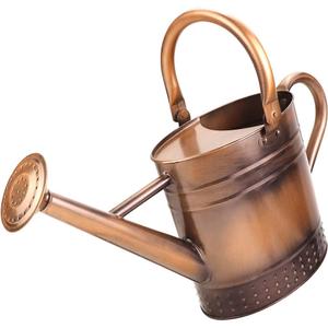 1 Gallon Metal Watering Can with Removable Spout, Nice Galvanized Steel Water Can with Embossed Design for Indoor and Outdoor Plants (Bronze)