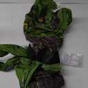 Inflatable Dinosaur Costume for Kids/Teens,Halloween Costumes T Rex Blow Up Costumes for Boys Girls,Cosplay(Green)