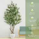 7.9 Feet Artificial Olive Tree with Lush Leafy Foliage in Large Decoration Planter Faux Fake Plants for Home Office Decor Suitable for Indoor Outdoor Use