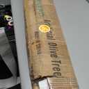 7ft Faux Olive Tree - Fake Potted Olive Silk Tree with Planter Natural Olive Branches and Realistic Leaves Artificial Tree for Home House Office Decor Indoor