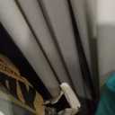 Eurmax USA Standard 10x10ft Patio Pop Up Canopy Tent for Outdoor Events Commercial Instant Canopies with Heavy Duty Roller Bag,Bonus 4 Canopy Sand Bags(Forest Green)