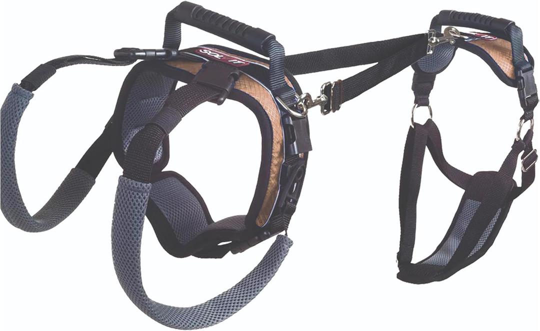 PetSafe CareLift Support Harness - Lifting Aid for Senior or Injured Dogs - Breathable Mesh - Machine Washable - Post-Surgery Dog Support - Medium (Medium (Pack of 1))