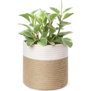 Dahey Small Cotton Rope Plant Basket Woven Plant Coiled Basket for Up to 7" Planter, Decorative Flower Pot Cover Closet Storage Bin Table Desk Organizer for Home Decor, White and Beige
