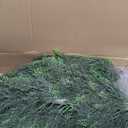 Briful 4FT Artificial Cedar Topiary Trees for Outdoor Set of 2, UV Resistant Faux Cedar Plants in Pot for Front Door Porch Entryway, Indoor Outdoor Decorative Greenery, Fake Shrubs for Home Patio