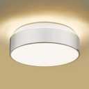 AUTELO 12" Flush Mount Ceiling Light Fixture, Frosted Glass Shade 2-Light Close to Ceiling Light Fixture in Brushed Nickel Finish, for Living Room Hallway Bedroom C3312 ST