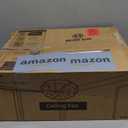 LEDIARY 20" Caged Ceiling Fans with Lights and Remote, Flush Mount Bladeless Ceiling Fan Low Profile, Small Farmhouse Industrial Enclosed Ceiling Fan with Light for Bedroom, Kitchen, Indoor (20 Inch Black)