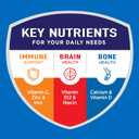 BOOST Plus Nutritional Drink, Rich Chocolate, 8 fl oz (Pack of 24) (EXP 10/08/26)