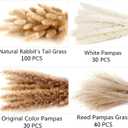 200PCS Dried Flower Bouquet Pampas Grass, Floral Decor for Home, Wedding, and Boho Style | Perfect for Vases, Fall, Spring, Summer, and Winter Arrangements
