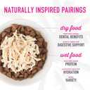 Tiki Cat Born Carnivore Broths, Salmon Recipe, Hydration and Flavor Supplement Cat Food Topper, 1.3 oz. Pouch (Pack of 12)