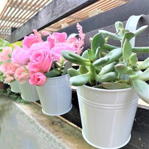 LaLaGreen 6 Inch Hanging Planter Iron - 10 Pack, White Large Metal Flower Pot Over Rail Balcony Railing Hanging Buckets for Plants Outdoor Fence Wall Herb Garden Succulent Outside Deck Patio Porch