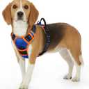 Eagloo Dog Harness for Large Dogs, No Pull Service Vest with Reflective Strips and Control Handle, Adjustable and Comfortable for Easy Walking, No Choke Harness with 2 Metal Rings, Blue & Orange, Small