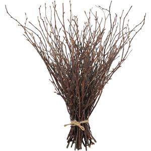 Uieke 50PCS Birch Twigs 17 Inch Natural Dried Plants Decorative Birch Branches for DIY Crafts, Birch Sticks for Vases Wedding Arrangements Home Wreath Decor