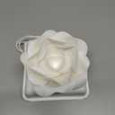 Biodegradable Urn Eco Burial Urns Biodegradable Water Urns Cremation Ocean Scattering Floating Urn for Human Ashes (M)