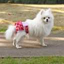 Reusable Dog Diapers Washable (3 Pack), Puppy Diapers Highly Absorbent for Heat & Urination Issues, XS