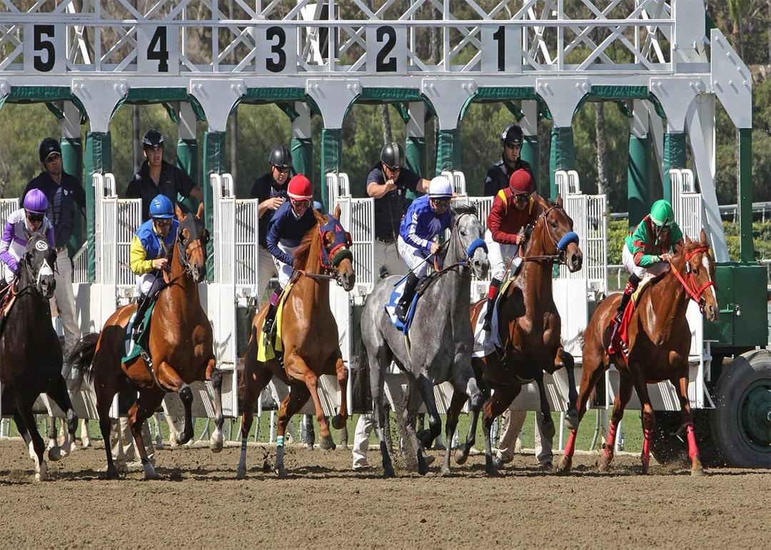 BELECO 7x5ft Fabric Derby Party Backdrop Horse Racing Backdrops for Photography Racecourse BackgroundDerby Party Decoration Supplies Banner Photo Booth Studio Props Wallpaper