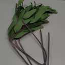 ANNIE&PANDA 3 Pack Faux Artificial Eucalyptus Stems with Faux Seeds 31'' Tall Fake Plants Leaves Olive Tree Branches Faux Greenery Stems for Bridal Wedding Bouquet Vase Table Centerpiece Decor