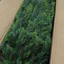 Artificial Cedar Topiary Trees for Outdoors Realistic Faux Cedar Pines Cypress Trees Faux Evergreen Plants for Home Porch Decor Set of 2 (48inch)