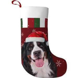 Christmas Bernese Mountain Dog Christmas Stockings Personalized Hanging Stocking Decorations for Family Xmas Holiday Party (One Size)