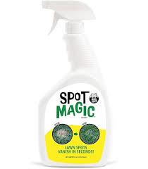 Ready to Spray Lawn Paint. No Mixing Required. Covers up to 100 sq. feet.