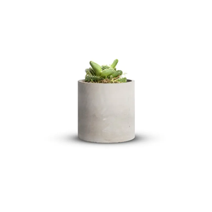 Mozing Cement Plant Pots Indoor - 4.8 inch/12 CM XXXsmall Concrete Planter Pot for Planting - Modern Stone Clay Flower Pot with Drainage Hole for Garden, Home, Office Decor, Grey
