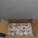 Homelike Style 1.7 oz Mini Glass Spice Bottles, 24 Pack Small Glass Jars with Airtight Lid and Leak Proof Rubber Gasket, Empty Spice Containers with Labels for Home and Kitchen