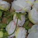 U'Artlines 20 Heads Artificial Peony Silk Flower Leaf Home Office Wedding Party Festival Bar Decor (Cream White)