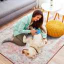 5x7 Pink Washable Area Rug for Living Room Bedroom, Modern Abstract Non-Slip Rugs, Low Pile Soft Stain Resistant Carpet for Dining Room, Office, Dorm Decor