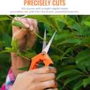 BEoffer 4 Pack Pruning Shears, 6.5 Inch Garden Scissors Gardening Hand Pruning Snips with Straight Stainless Steel Precision Blades for Gardening Flower Plant Precise Trimming and Pruning Maintenance (Orange Green)