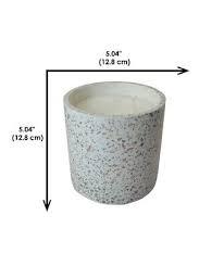 15Oz Wildbflowers Sunshn