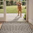 DEXI Front Door Mats for Entryway, 20x32 Non Slip Washable Low-Profile Entry Doormat, Absorbent Resist Dirt Inside Floor Entrance Mat, Patio, Brown
