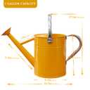 yourjoy Metal Watering Can, One Gallon Watering Cans Stainless Steel for Outdoor Indoor Garden Plants Watering (Yellow)