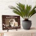 2 x Pet Memorial Picture Frame, Forever On Our Hearts Photo Frame, Remembrance Gifts For Dog Lover Dog Mom, Loss of Dog Sympathy Gift, Cat Passing Away Gift, Home Office Pet Memorial Frame With Stand -18