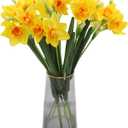 Hananona 10 Pcs Artificial Daffodils Flowers Narcissus Faux Spring Flowers Fake Silk Daffodil Flower Arrangement for Indoor Outdoor Home Wedding Decor (10, Yellow)