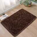 Small Fluffy Rugs for Bedroom 2x3 Brown Shaggy Area Rug Soft Plush Fuzzy Fur Throw Rug for Living Room Dorm Kids Nursery Home Decor Aesthetic Carpets