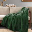 Inhand Fleece Throw Blanket, Super Soft Flannel Cozy for Adults, Washable Lightweight for Couch, Sofa, Bed, Office, Warm Plush for All Season, Green, 50"60"