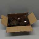 ONEST 30 Pieces Small Faux Bird Nest with Eggs Artificial Rattan Birds Nest for Easter Wedding Home Party Christmas Tree Decoration