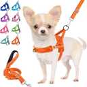 Lukovee No Pull Dog Harness and Leash Set, Soft Padded Small Dog Harness, Neck & Chest Adjustable Reflective Vest Puppy Harness with 4ft Lightweight Anti-Twist Dog Leash for Small Dogs M