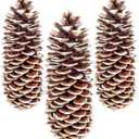Large Pine Cones for Crafts, 9-12 Inch Extra Large Frosted Sugar Pinecones - Set of 3 Natural Pine Cones for Christmas Tree Ornaments, Vase Fillers, Rustic Home & Holiday Dcor - Frosted
