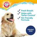 Arm & Hammer Complete Care Enzymatic Dog Toothpaste with Baking Soda and Calcium, Fluoride-Free Chicken Flavor for Plaque, Tartar, and Fresh Breath, 6.2 Oz Value Size